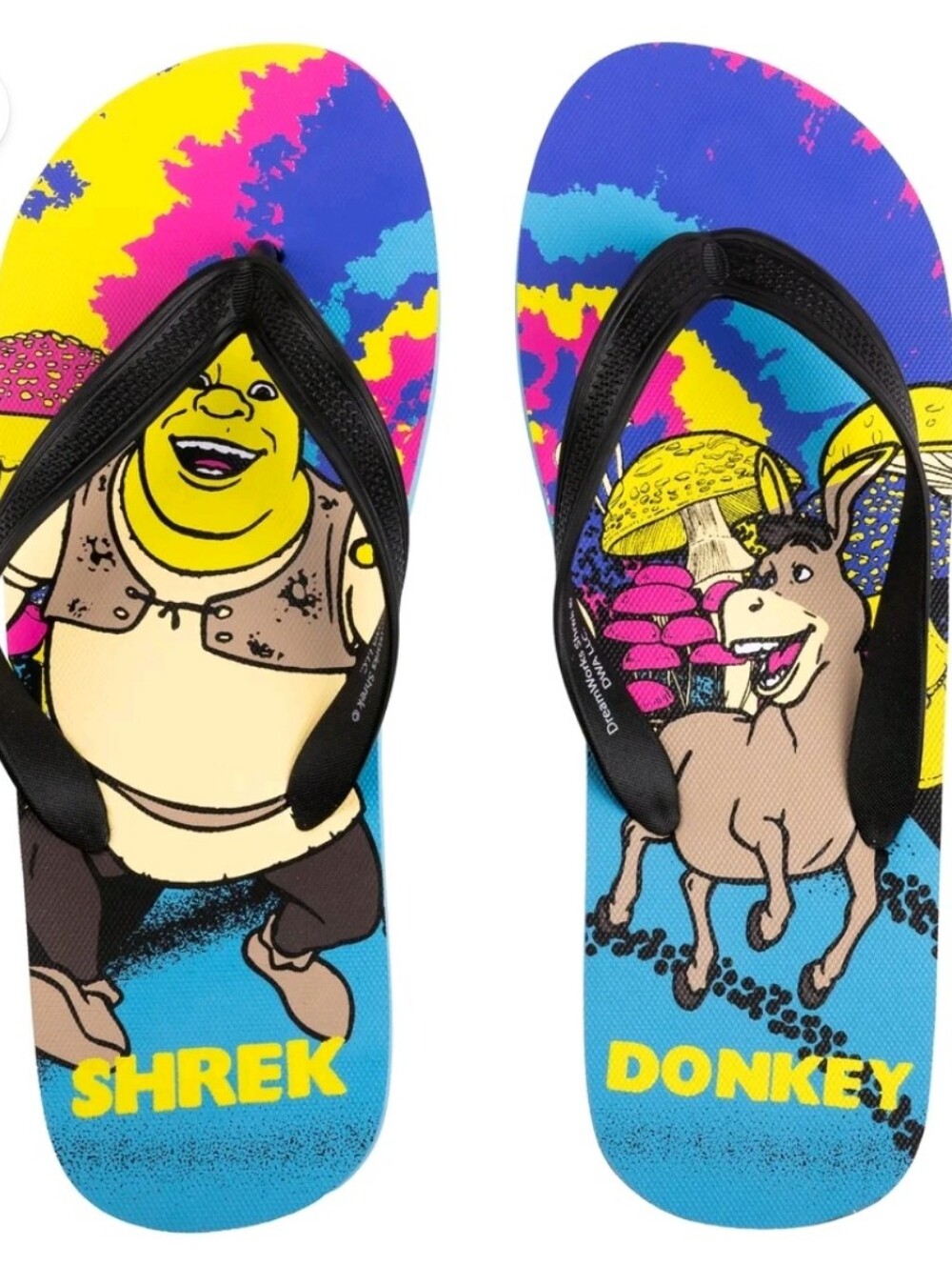Shrek and Donkey Men's Flip-Flops
